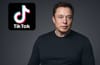Cyber Scan: AI Misinformation, TikTok's EU Compliance, and U.S. Legal Battles